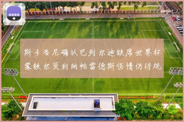 斯卡洛尼确认巴列尔迪缺席世界杯蒙铁尔莫利纳帕雷德斯伤情仍待观察
