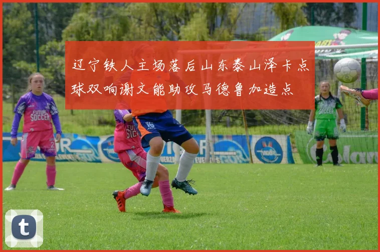 辽宁铁人主场落后山东泰山泽卡点球双响谢文能助攻马德鲁加造点