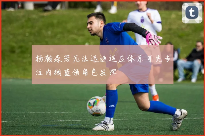 杨瀚森若无法迅速适应体系可先专注内线蓝领角色发挥