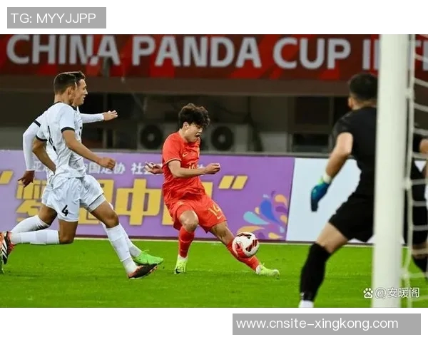 杨瀚森有望成为国足低迷时期中国最受欢迎运动员的热门人选 杨瀚森有望成为国足低迷时期中国最受欢迎运动员的热门人选