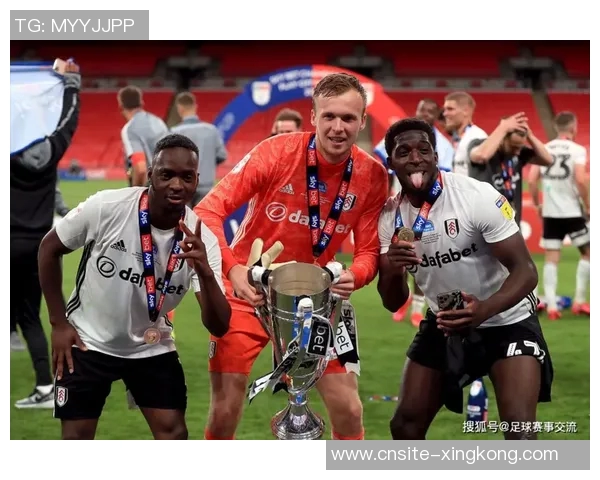 英媒报道厄德高赖斯回归时间未定卡皮耶或将复出对阵富勒姆